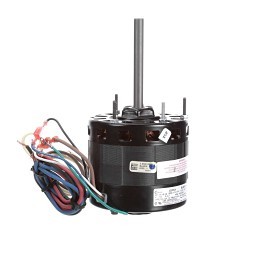 BL6519 product photo Front View M